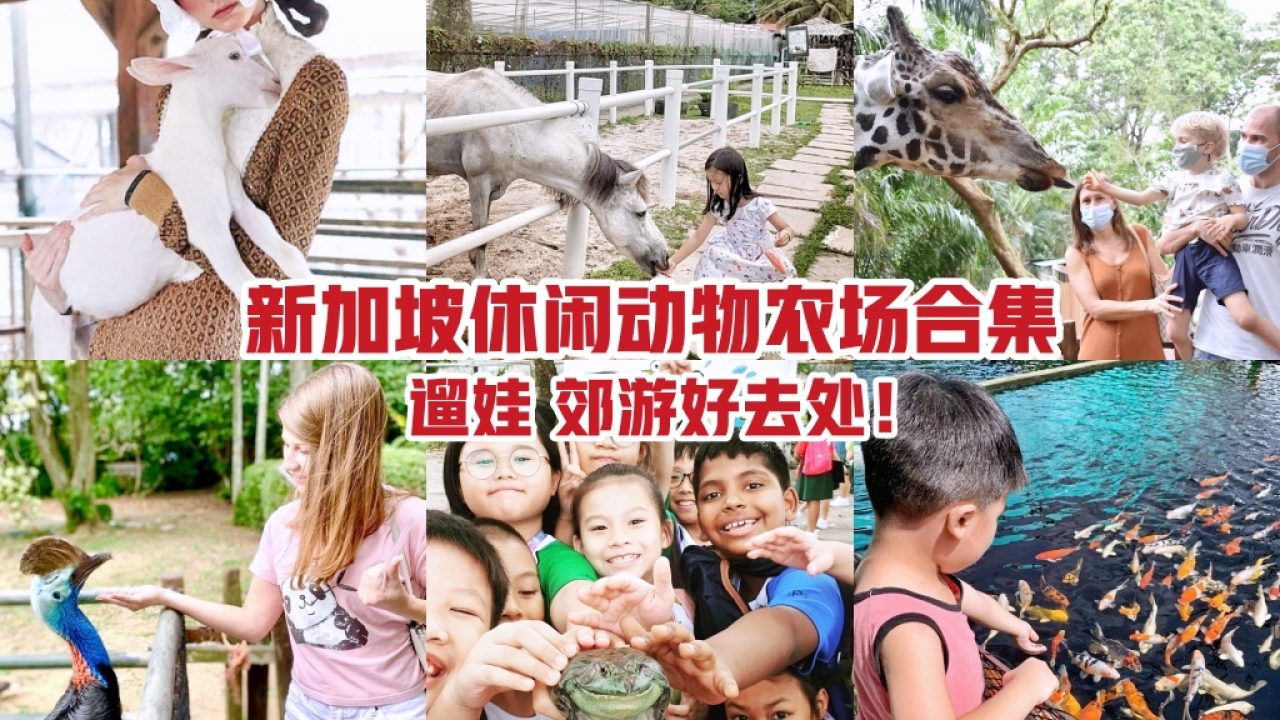 8大新加坡休闲动物农场 享受亲子时光 不忘亲近大自然 新加坡省钱皇后 皇后情报局