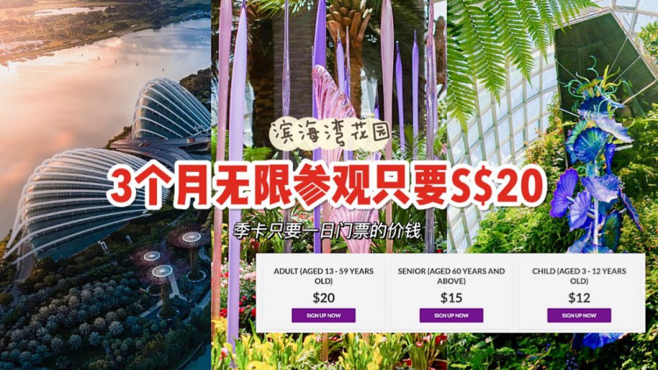 滨海湾花园季票只要s 20 无限次进入flower Dome Cloud Forest 限时售卖至9月12日 新加坡省钱皇后 皇后情报局