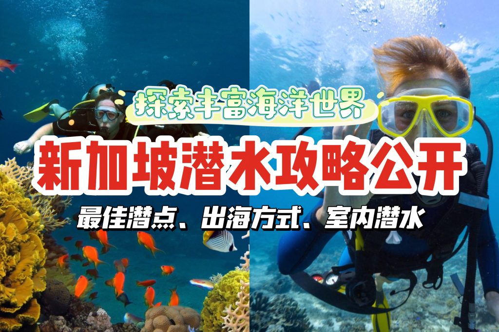 🤿 新加坡潜水攻略快拿好收藏！临近潜点、出海方式、秘密潜水地一次大