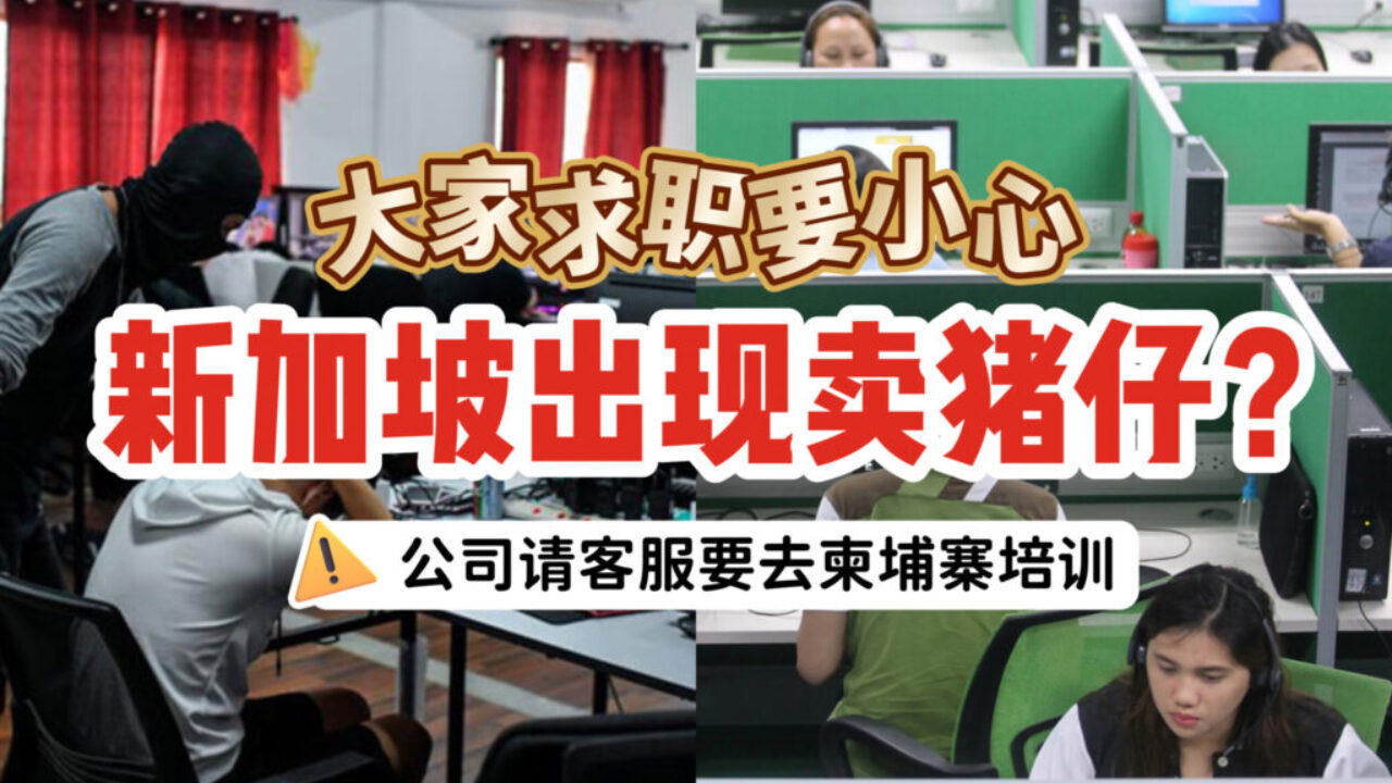 新加坡出现卖猪仔？本地公司请客服要去柬埔寨培训！大家求职务必要小心！ - 🇸🇬新加坡省钱皇后-皇后情报局