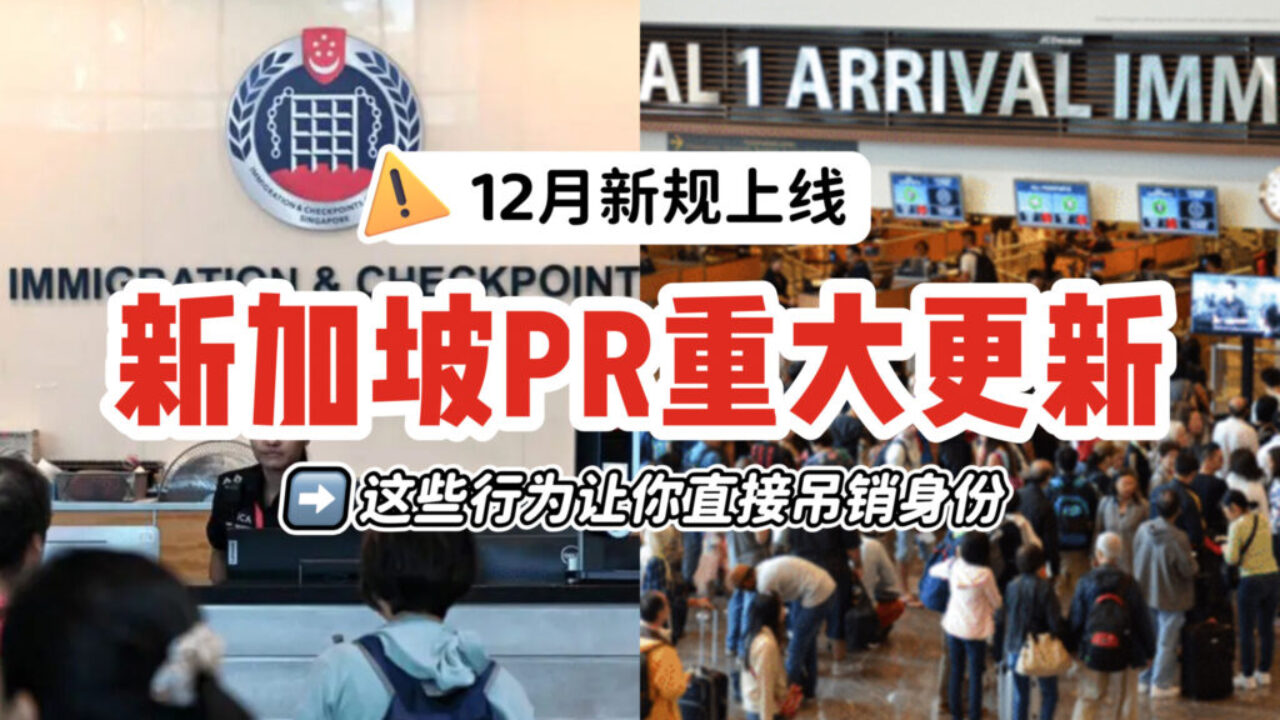 12月新规上路：这些行为将直接取消新加坡PR！海外PR须在180天内更新REP⚠️ - 🇸🇬新加坡省钱皇后-皇后情报局